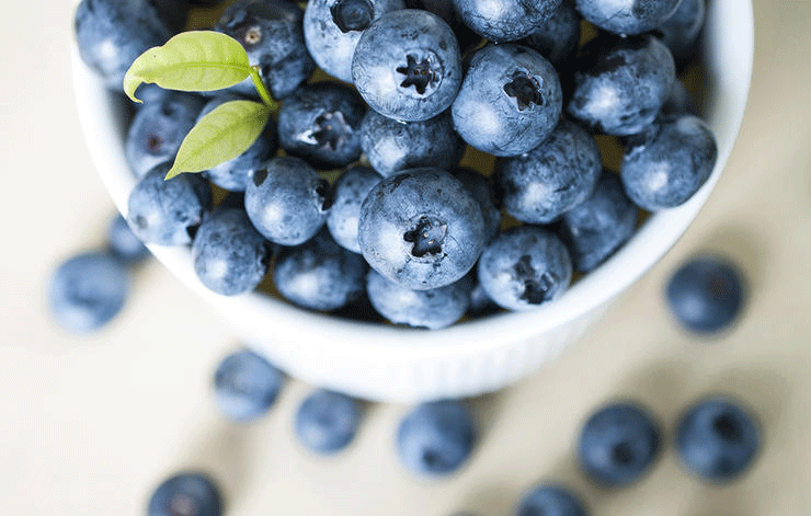 blueberries 10