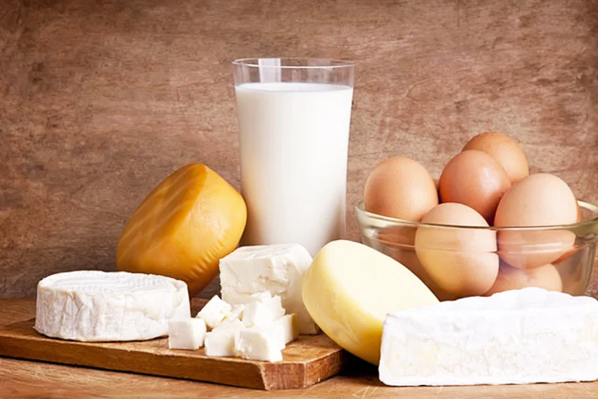 دوچرخه سواری با رژیم غذایی گیاهخواری 3 برنامه غذایی گیاهخواری25